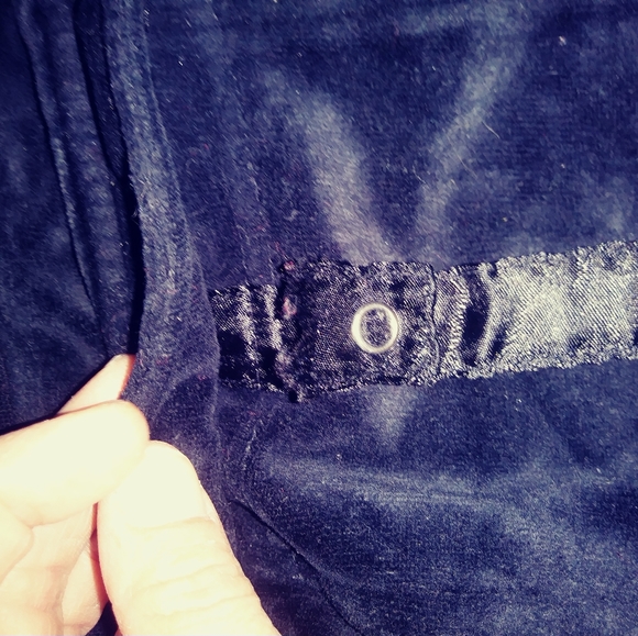 BCBG Velour Pants - Picture 14 of 16